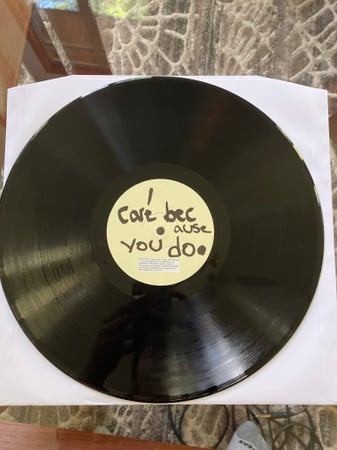 ...I Care Because You Do | Mint (M) Mint (M) -T Vinyl Record